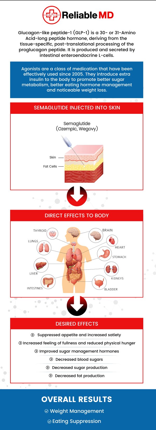 At Reliable MD, we provide Semaglutide GLP-1 as an effective weight loss solution. This medication helps regulate appetite and promote fat reduction, assisting individuals on their weight loss journey. Our professional team offers personalized treatment plans to ensure you receive the support needed to achieve your weight loss goals. For more information, contact us or schedule an appointment online. We are conveniently located at 2801 Fruitville Rd Unit 140, Sarasota, FL 34237. At Reliable MD, we provide Semaglutide GLP-1 as an effective weight loss solution. This medication helps regulate appetite and promote fat reduction, assisting individuals on their weight loss journey. Our professional team offers personalized treatment plans to ensure you receive the support needed to achieve your weight loss goals. For more information, contact us or schedule an appointment online. We are conveniently located at 2801 Fruitville Rd Unit 140, Sarasota, FL 34237.