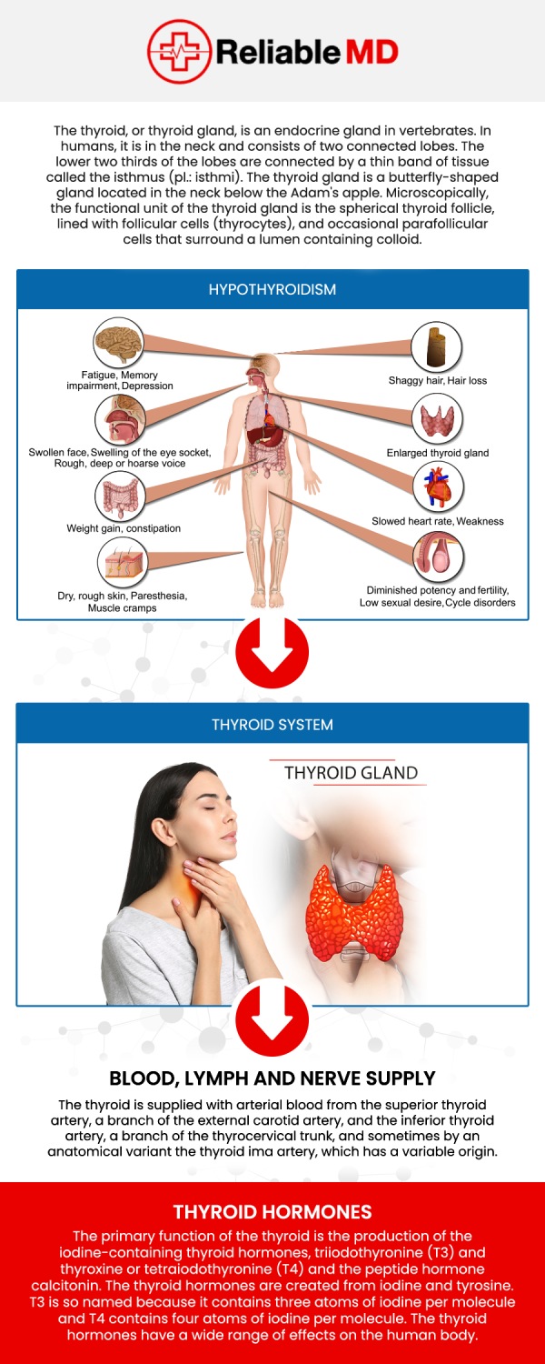 Common questions asked by patients: What is thyroid disorder? How common is thyroid disorder? What are the symptoms of thyroid disorder? What are the risk factors for thyroid disorder? How is thyroid disorder diagnosed? How is thyroid disorder treated?
A thyroid disorder can affect hormone production and impact energy, metabolism, and overall health. Understanding the causes and symptoms can help identify concerns early and seek appropriate care. Dr. Carlos Levy, MD, at Reliable MD, provides personalized evaluation and guidance to help patients manage thyroid health with a comprehensive approach. For more information, contact us today or book an appointment online. We are conveniently located at 2801 Fruitville Rd Unit 140, Sarasota, FL 34237.