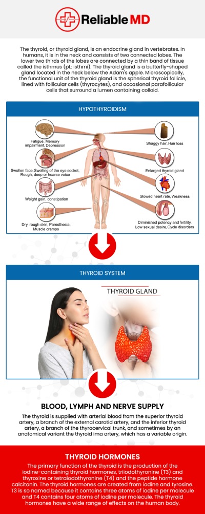 Common questions asked by patients: What is thyroid disorder? How common is thyroid disorder? What are the symptoms of thyroid disorder? What are the risk factors for thyroid disorder? How is thyroid disorder diagnosed? How is thyroid disorder treated?
A thyroid disorder can affect hormone production and impact energy, metabolism, and overall health. Understanding the causes and symptoms can help identify concerns early and seek appropriate care. Dr. Carlos Levy, MD, at Reliable MD, provides personalized evaluation and guidance to help patients manage thyroid health with a comprehensive approach. For more information, contact us today or book an appointment online. We are conveniently located at 2801 Fruitville Rd Unit 140, Sarasota, FL 34237.